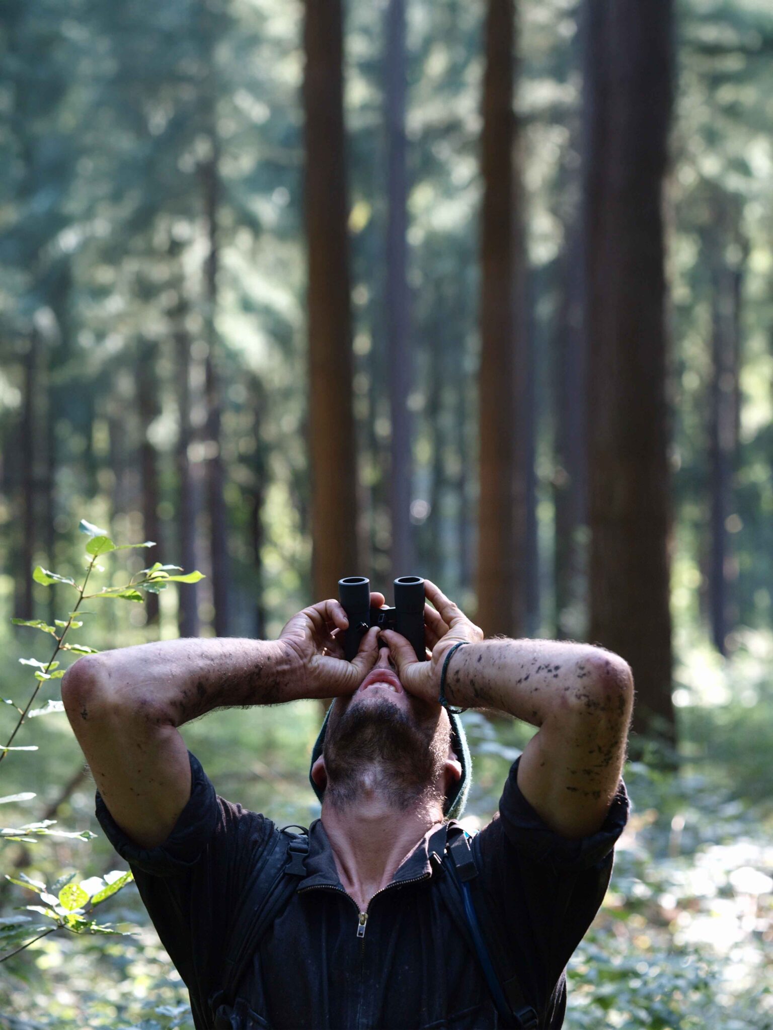 Eine Person mit schlammigen Armen blickt durch ein Fernglas in einen sonnenbeschienenen Wald, der von hohen Bäumen und Grünpflanzen umgeben ist.