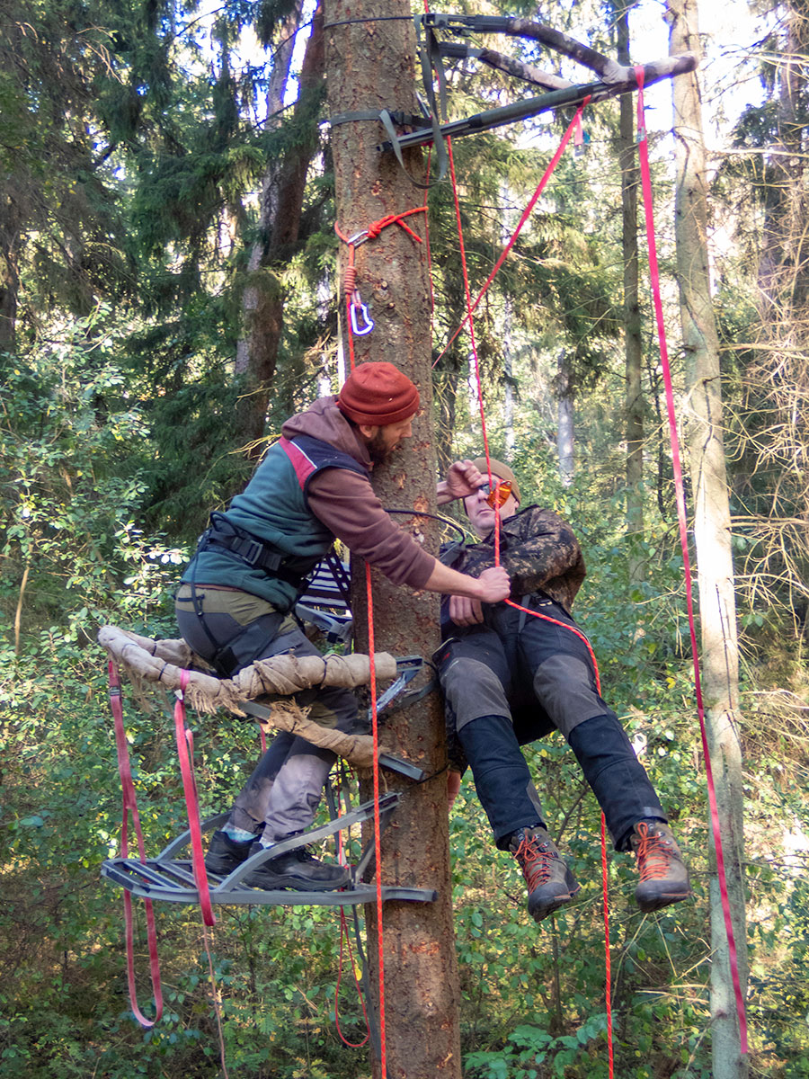 Zwei Personen, die Outdoor-Ausrüstung und Sicherheitsgurte tragen, arbeiten gemeinsam an einem Baum in einem Wald, wobei sie Seile und eine Plattform benutzen, um scheinbar Baumkletter- oder Rettungstechniken einzurichten oder zu üben.