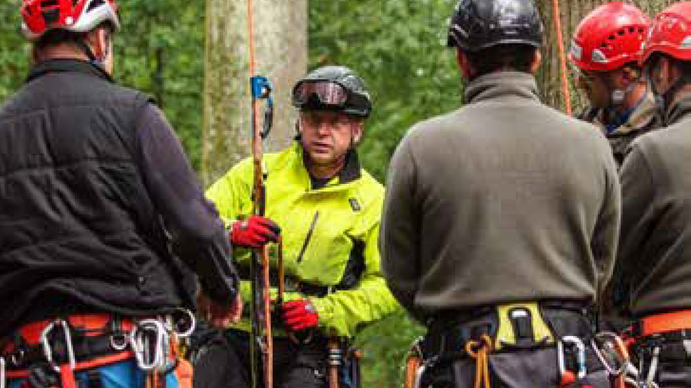 Eine Gruppe von vier Personen mit Helmen und Klettergurten steht draußen in einem Wald und hört einem Ausbilder in einer leuchtend gelben Jacke zu, der die Sicherheitstechniken am Seil erklärt.