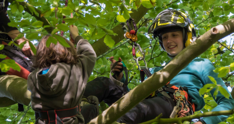 Zwei Personen, die Helme und Klettergurte tragen, klettern in einem belaubten Baum. Ein Erwachsener ruht sich lächelnd auf einem Ast aus, und ein Kind streckt sich nach oben, was auf eine Seilkletterausbildung oder ein aufregendes Baumkletterabenteuer hindeutet.