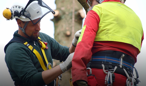 Zwei Arbeiter, die Schutzhelme und Klettergurte tragen, bereiten sich auf Baumarbeiten oder Klettern vor. Einer passt die Ausrüstung des anderen an. Sie sind konzentriert und umgeben von Sicherheitsausrüstung im Freien.