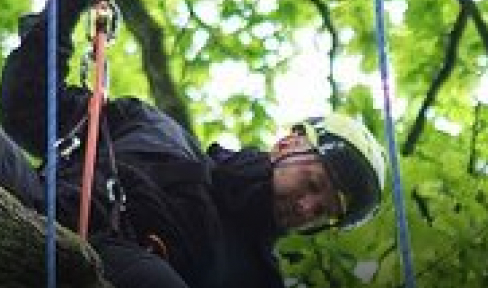 Eine Person, die einen Helm und eine Sicherheitsausrüstung trägt, klettert mit Hilfe von Seilen auf einen Baum, wobei im Hintergrund grüne Blätter und Äste zu sehen sind.