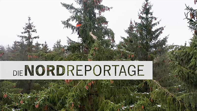 Immergrüne Bäume mit Tannenzapfen in einem verschneiten Wald. Auf einem großen weißen Banner in der Mitte steht in fetten, dunklen Buchstaben DIE NORDREPORTAGE.